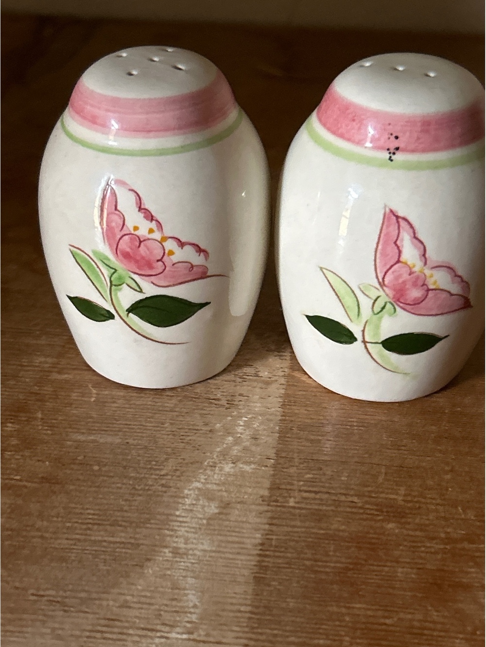 Vintage Stangl Hand-Painted Floral Salt and Pepper Shakers